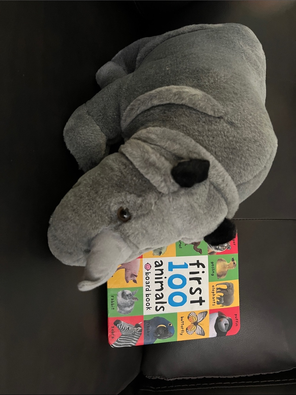 Rhino plush with animal board book! So cute!